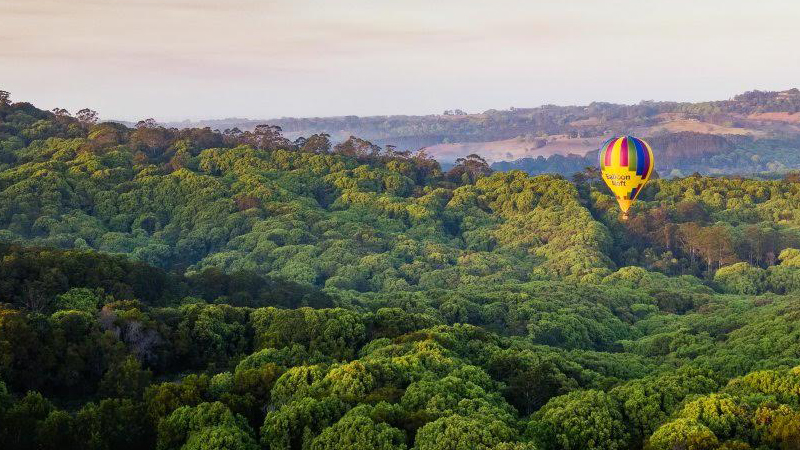 Experience the magic and wonder of a hot air baloon flight over the magnificent Byron Bay landscape!